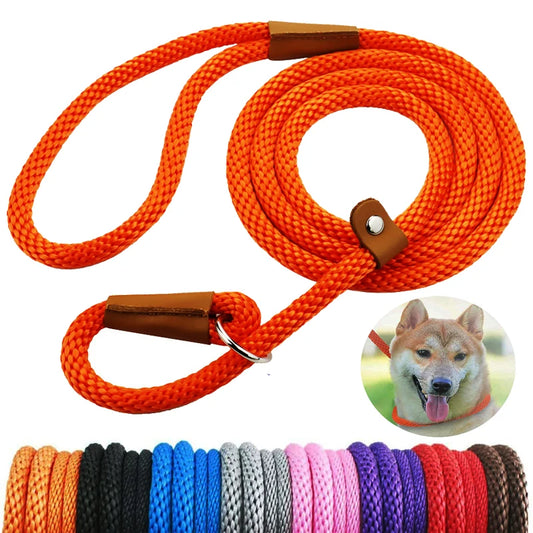 P Chain Durable Nylon Slip Rope Leash Collar 2 In 1 Adjustable