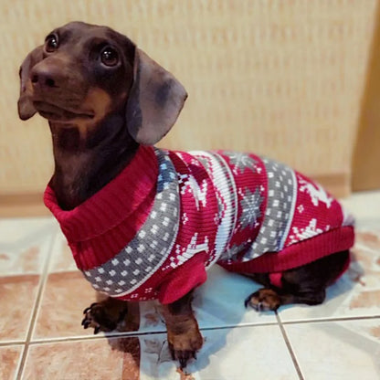 Cute Pet Dog Sweater for Small Dogs Winter