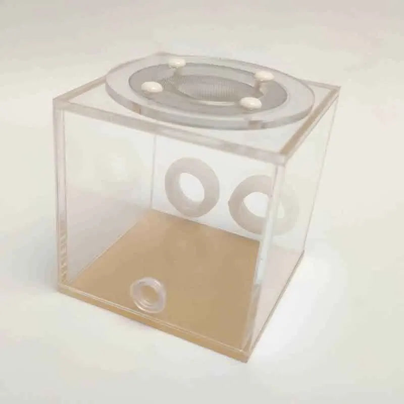 Double Tube Ant Farm Plastic Transparent Reptile Terrarium For Young Colonies messors Insect Supplies