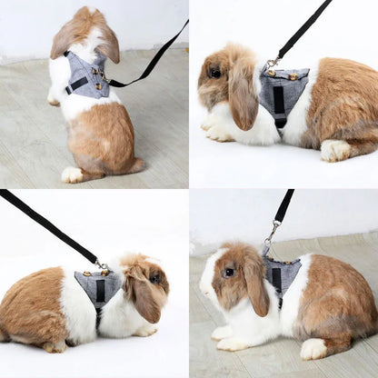 Small Pet Rabbit/Guinea Pig Harness and Leash Adjustable Braces