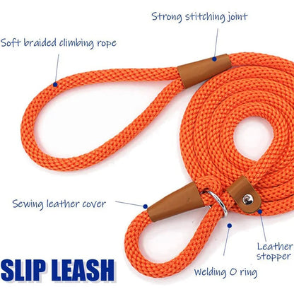 P Chain Durable Nylon Slip Rope Leash Collar 2 In 1 Adjustable