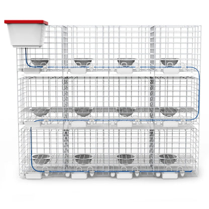 12-Bit Breeding Special Matching Pigoen Cage