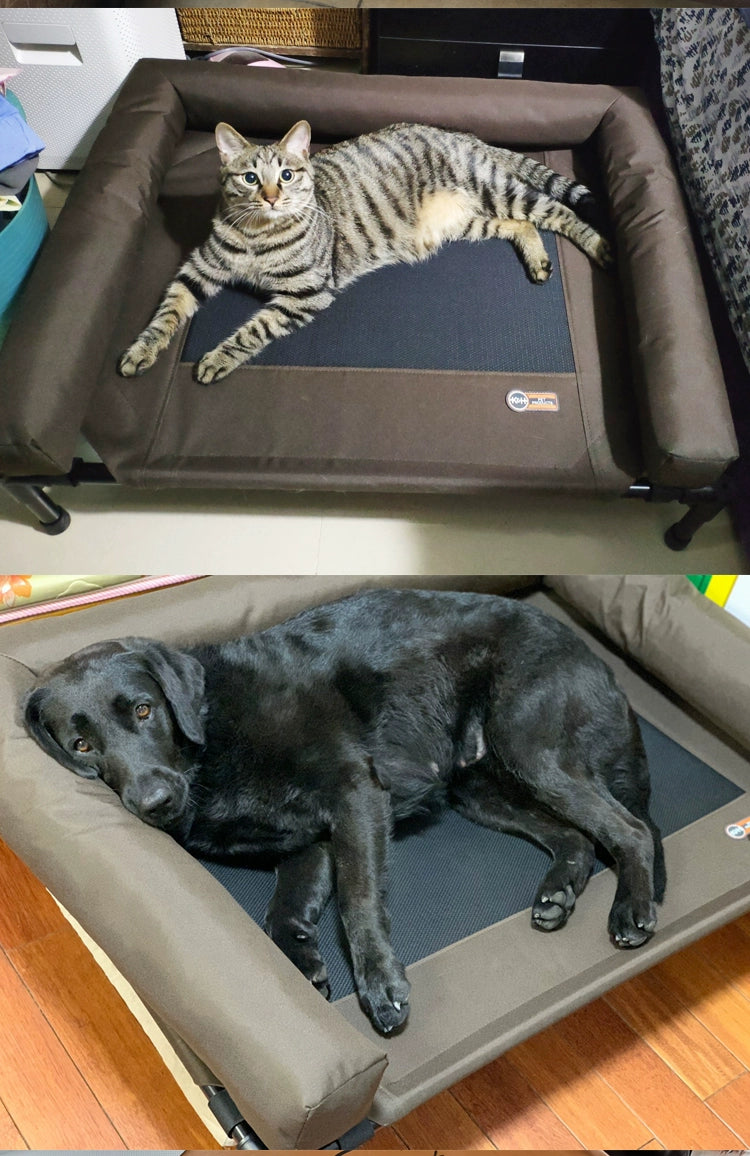 On The Go Elevated Dog Bed