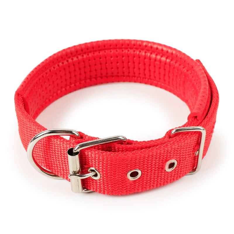 Variety Dog Collars