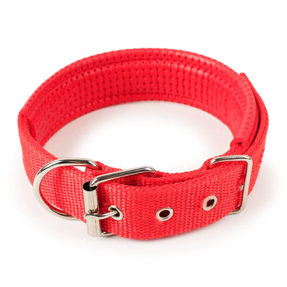 Variety Dog Collars