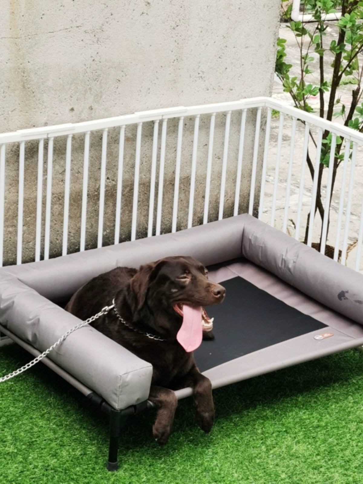 On The Go Elevated Dog Bed