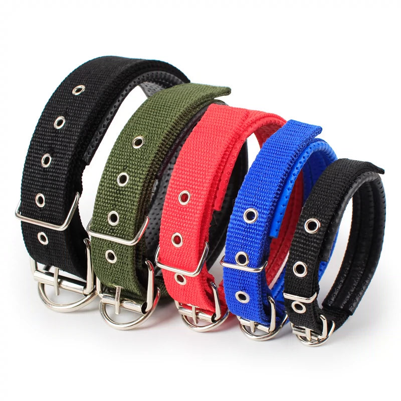 Variety Dog Collars