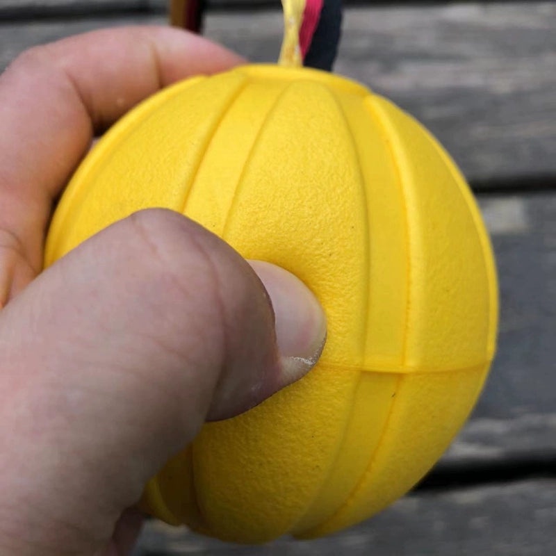 Dog Training Bite-Resistant Dog Training Ball with Rope