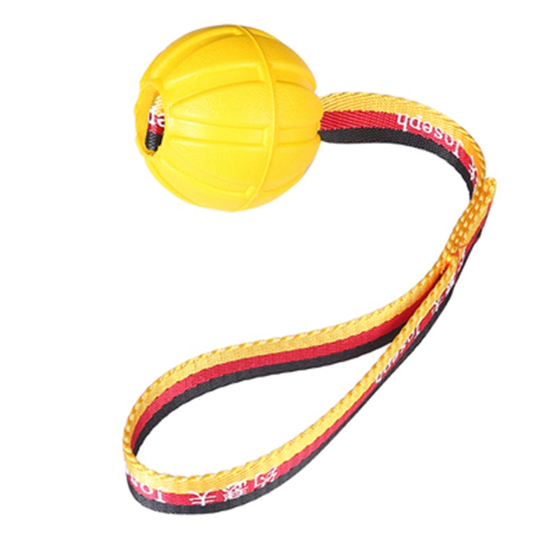 Dog Training Bite-Resistant Dog Training Ball with Rope