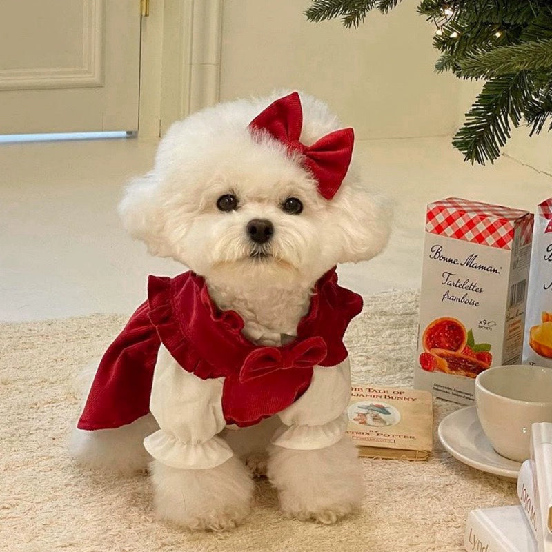 Dog New Year Princess Dress Autumn and Winter Teddy