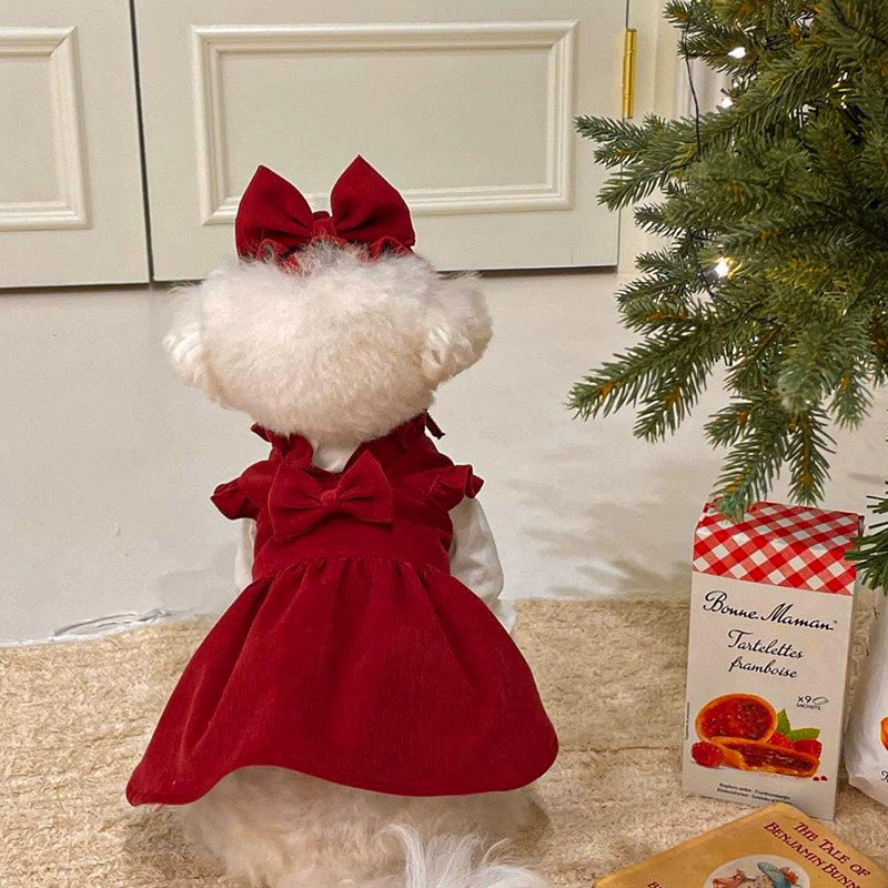 Dog New Year Princess Dress Autumn and Winter Teddy