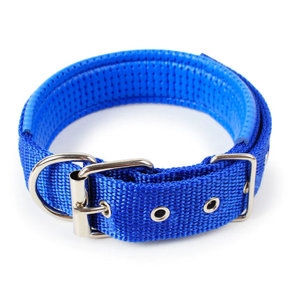 Variety Dog Collars