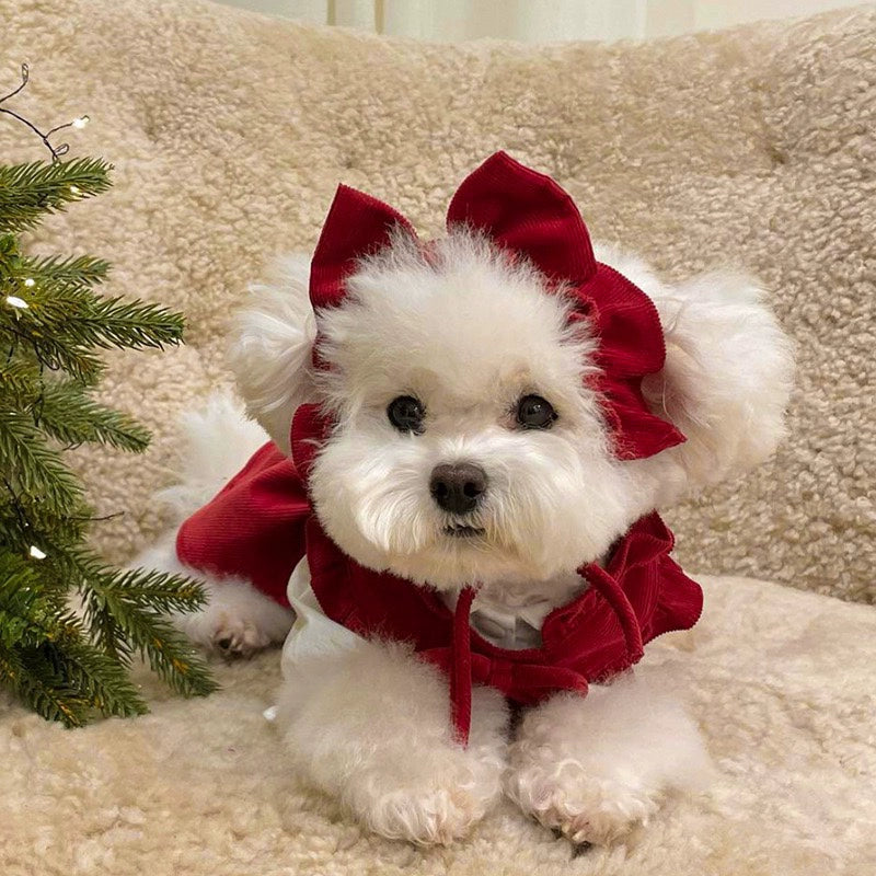 Dog New Year Princess Dress Autumn and Winter Teddy