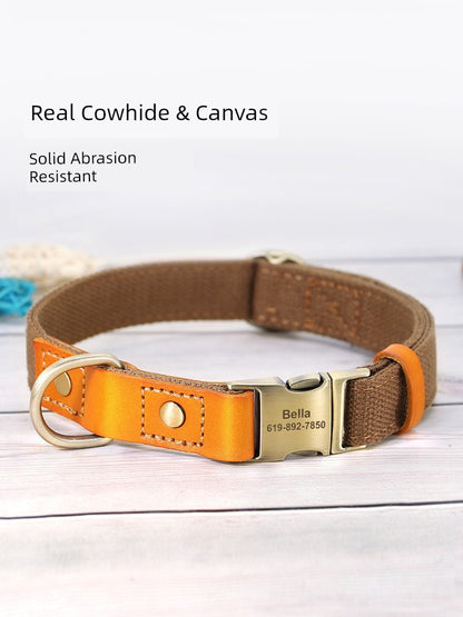 Customize Collar Anti-Lost Hand Holding Rope Pet Dog