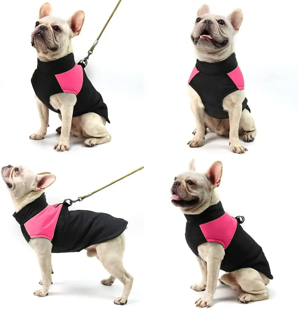 Waterproof Dog Coats Winter Small-Medium-Large Dogs