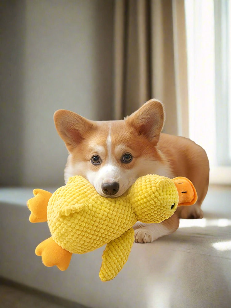 Relieving Duck Dog toy