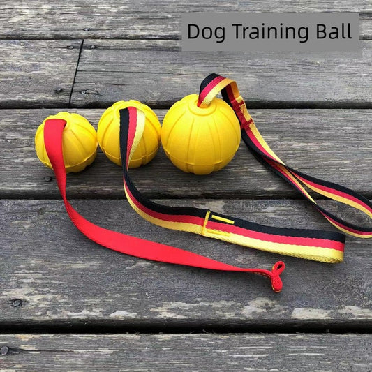 Dog Training Bite-Resistant Dog Training Ball with Rope