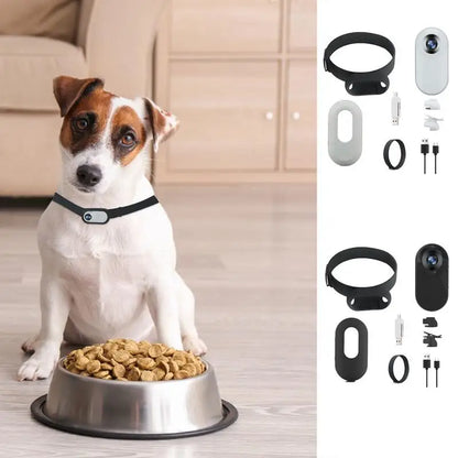 No Wifi Outdoor Wireless Collar