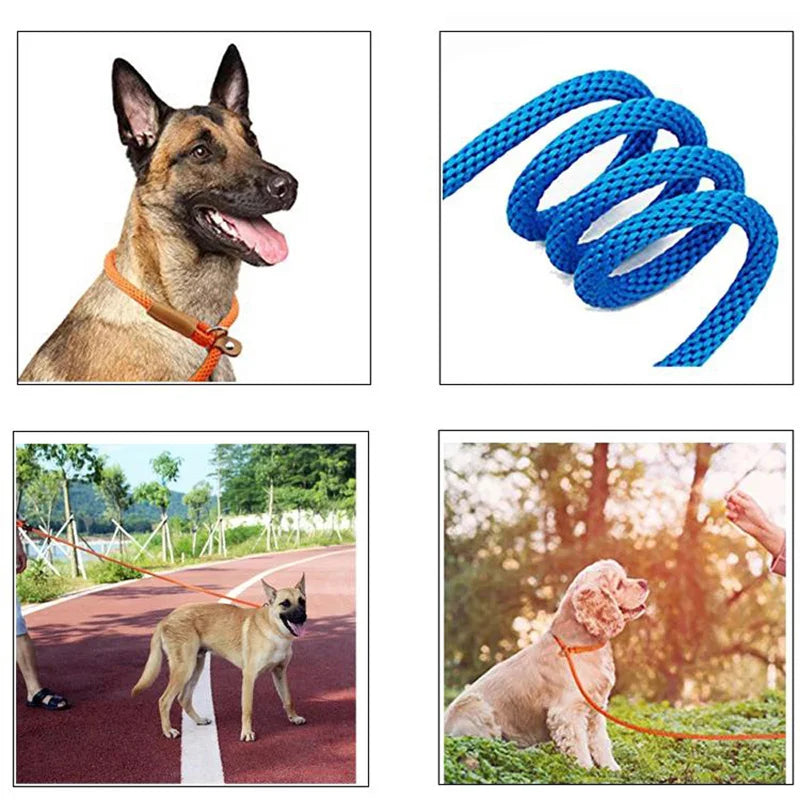 P Chain Durable Nylon Slip Rope Leash Collar 2 In 1 Adjustable