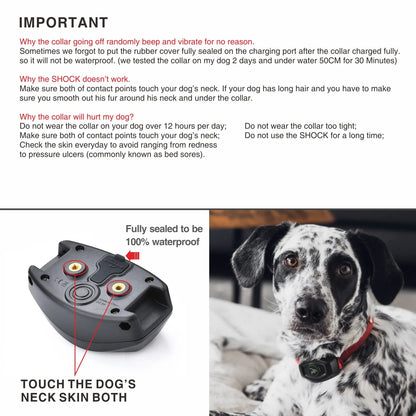 Electric Shock Collar IPX7 Waterproof Dog Training Collar with Remote