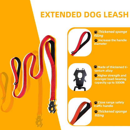 Heavy Duty Dog Leash- Nylon reflective dog leash with Soft Padded 2 Handle & Auto Lock Frog Clip