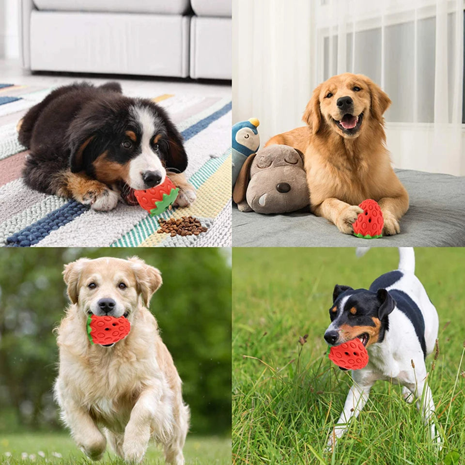 DualPet Dog Chew Toys Rubber Strawberry Shaped Food Leaking Toy Durable Eco-friendly Food Dispenser