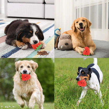 DualPet Dog Chew Toys Rubber Strawberry Shaped Food Leaking Toy Durable Eco-friendly Food Dispenser