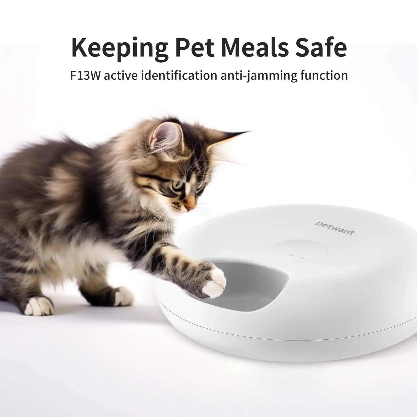 Petwant Smart Wireless Pet 6 meals Food Dispenser