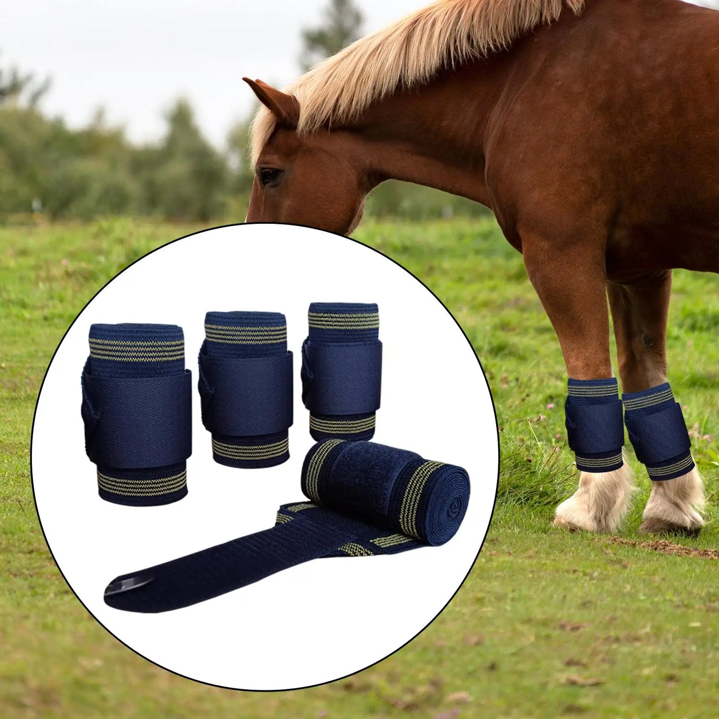 4x Horse Leg Wraps Elastic Riding Race Equestrian Leg Protection Strap