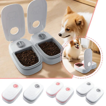 Automatic Feeder For Cats And Dogs With Timer Smart Food Dispenser