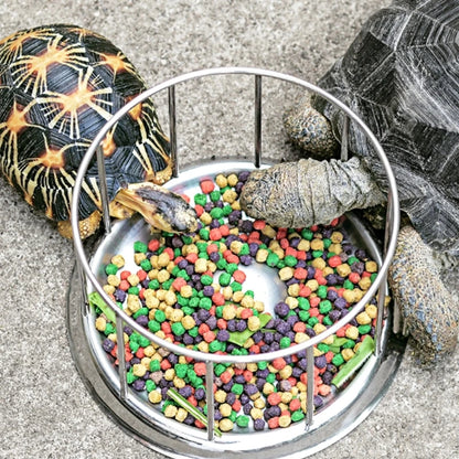 304 Stainless Steel Tortoise Turtle Feeder Bowl