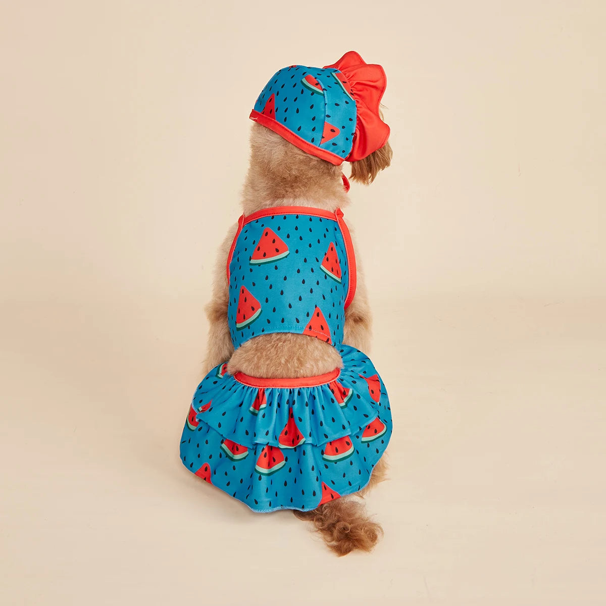 Three-piece Dog Dress for Small Dogs Cool Watermelon Printed Ruffle Apparel