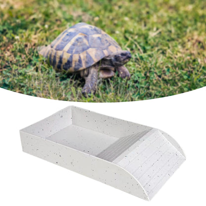 Reptile Pool Reptile Bathing Pool Large Water Bowls