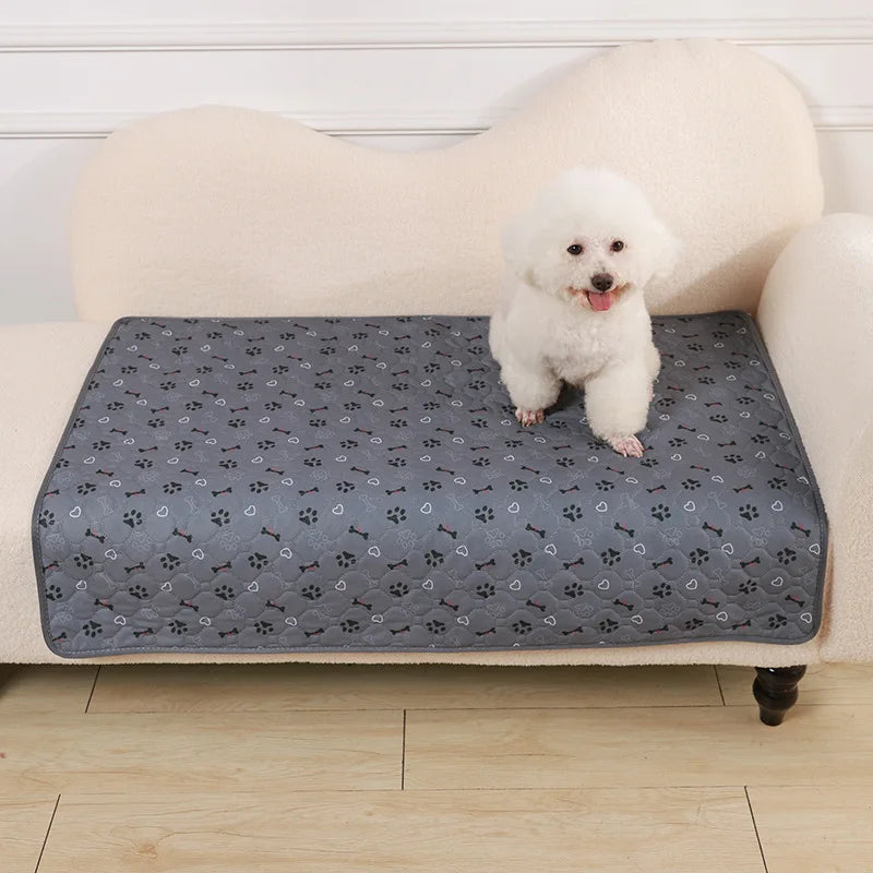 All In One Washable Puppy/Dog Training Pad/Bed