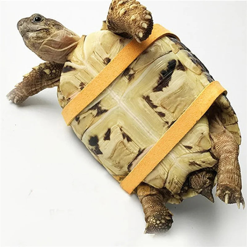 Adjustable Pet Turtle Traction Belt Control Rope Training Leash Harness