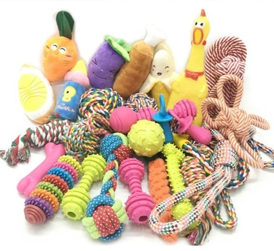 Multi Fun Dog Toys