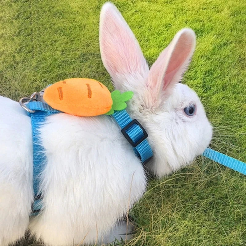 Rabbit Harness and Leash Small Animal Clothes