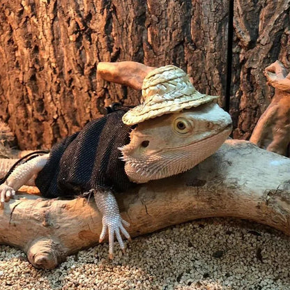 Bearded Dragon Costume Clothes Accessories Gifts