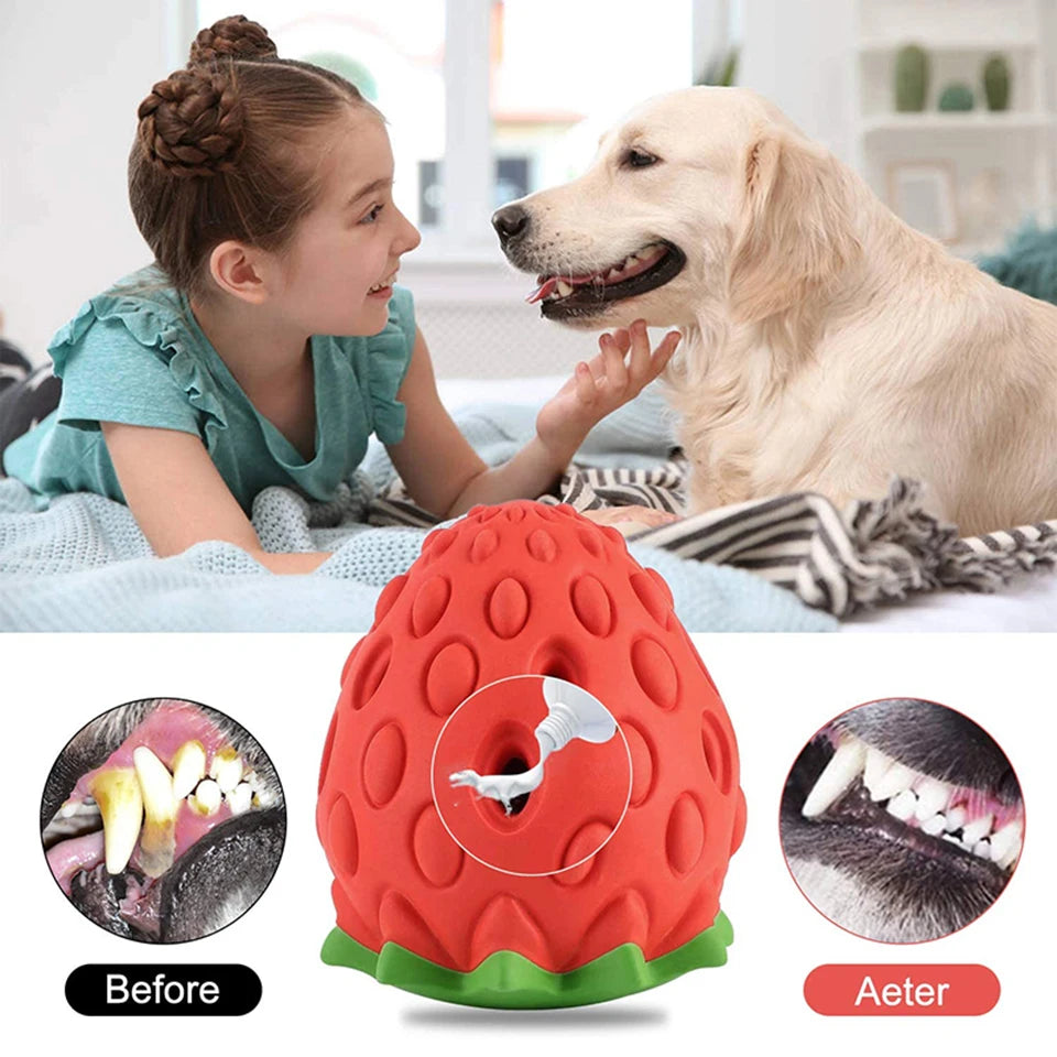 DualPet Dog Chew Toys Rubber Strawberry Shaped Food Leaking Toy Durable Eco-friendly Food Dispenser