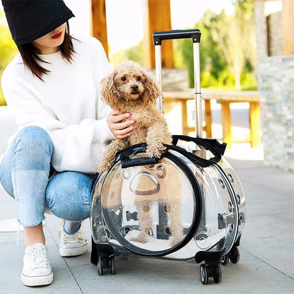 Pet Carriers Wheels Jaula Para Gatos Pets Accessories