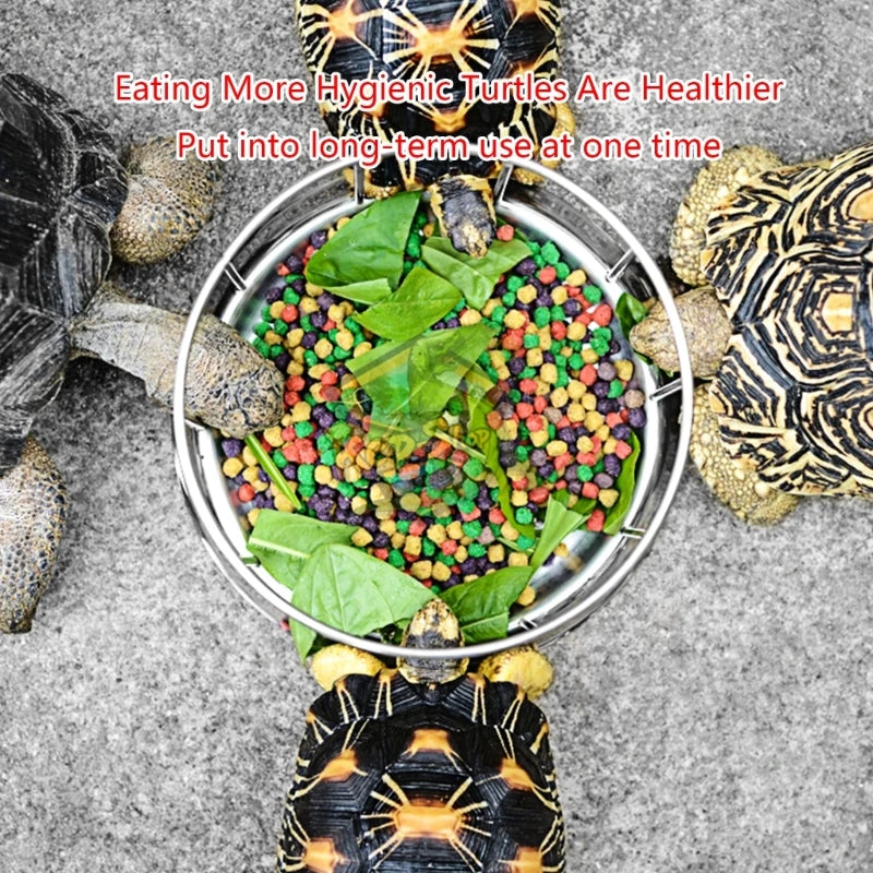 304 Stainless Steel Tortoise Turtle Feeder Bowl