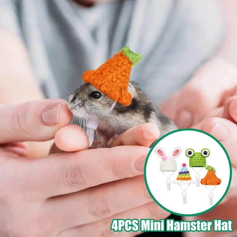 Mini Hamster Hat 4pcs Hand Knitted Pets Guinea Pig Lizards Frog Accessories