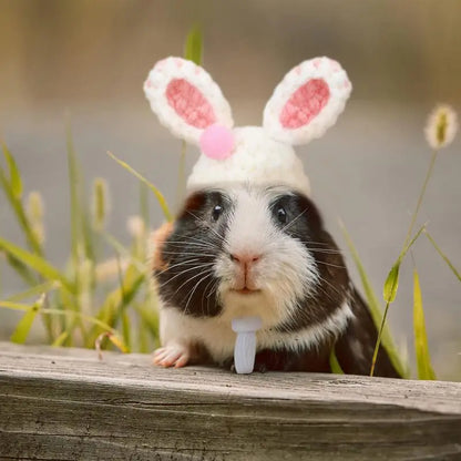 Mini Hamster Hat 4pcs Hand Knitted Pets Guinea Pig Lizards Frog Accessories