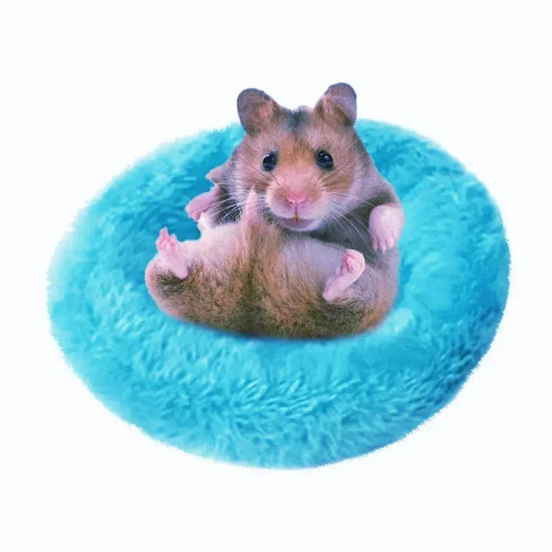 Hamster Coconut Shell Hanging Hammock