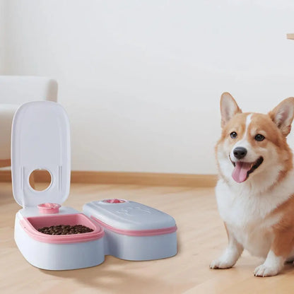 Automatic Feeder For Cats And Dogs With Timer Smart Food Dispenser