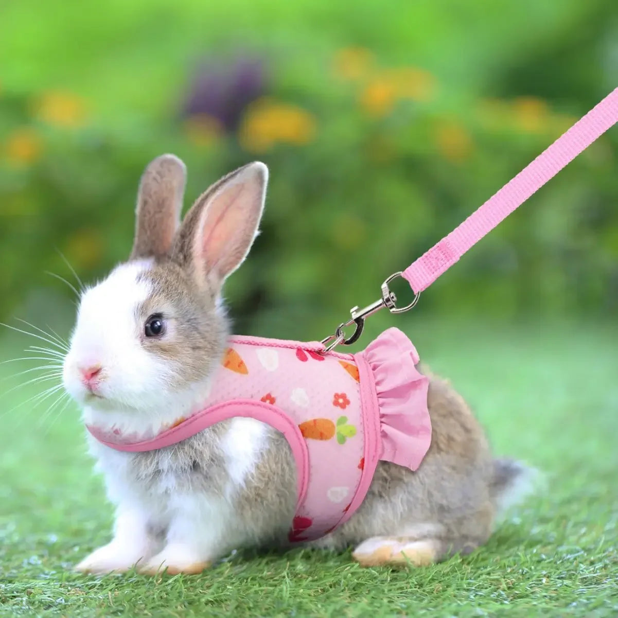 Cute Print Rabbit Clothes Traction rope djustable Leash for Cats Personalized Rabbit Harnesses Bunny Accessories Hamster Clothes