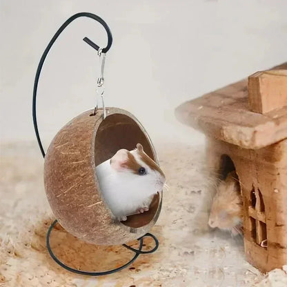 Hamster Coconut Shell Hanging Hammock