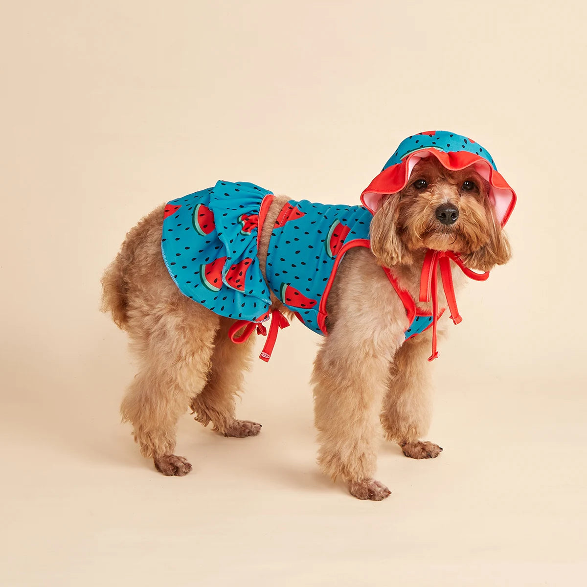 Three-piece Dog Dress for Small Dogs Cool Watermelon Printed Ruffle Apparel