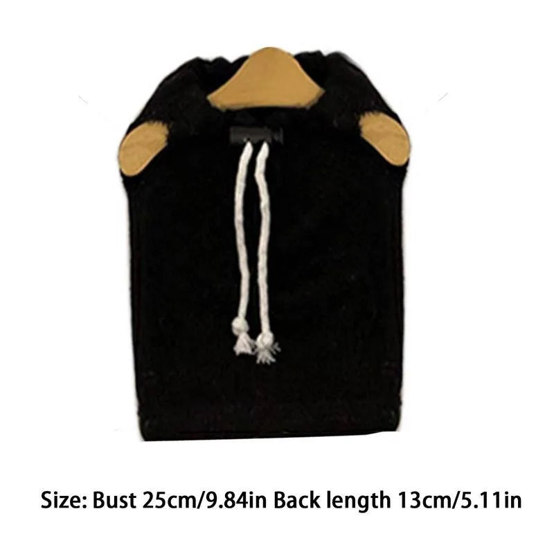 Bearded Dragon Costume Clothes Accessories Gifts