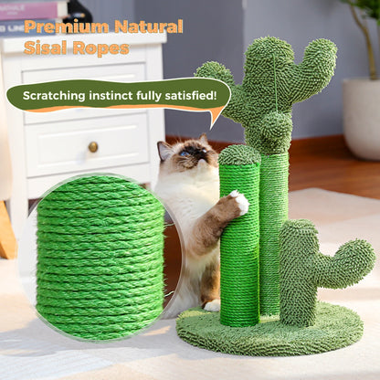 Cactus 3 Cat Scratchers Posts